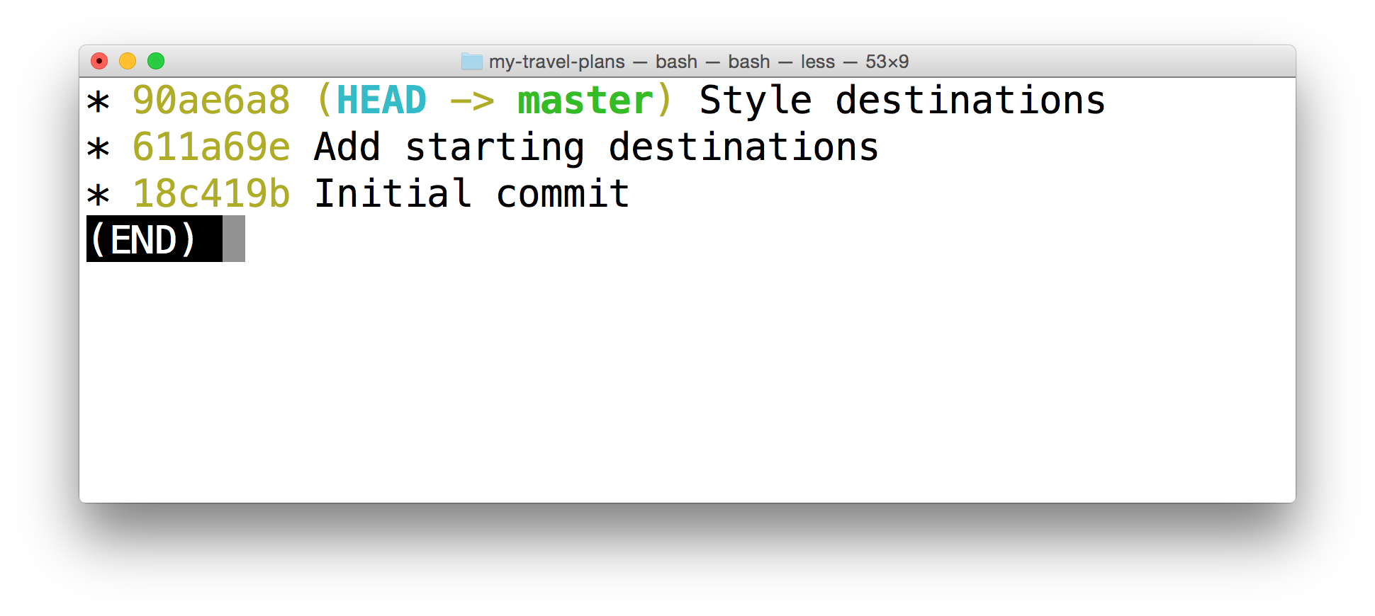 _The terminal application displaying the log of the project's commits._